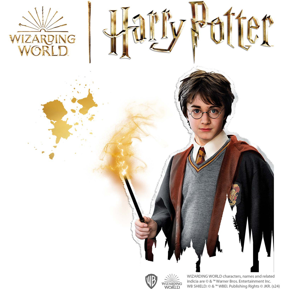 SES Creative Harry Potter Diamond Painting Set Image 5