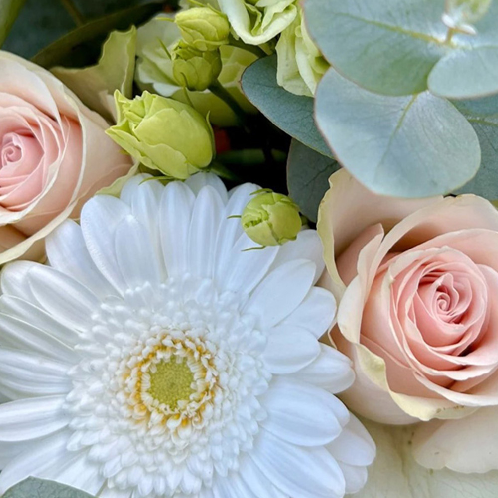 Fays Flowers Soft Rose and Germini Mix Bouquet Image 2