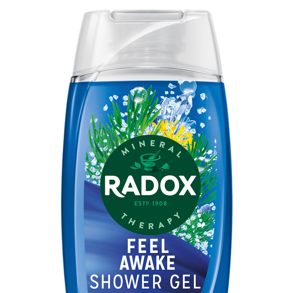 Radox Feel Awake Mineral Therapy 2 in 1 Shower Gel and Shampoo 225ml Image 2