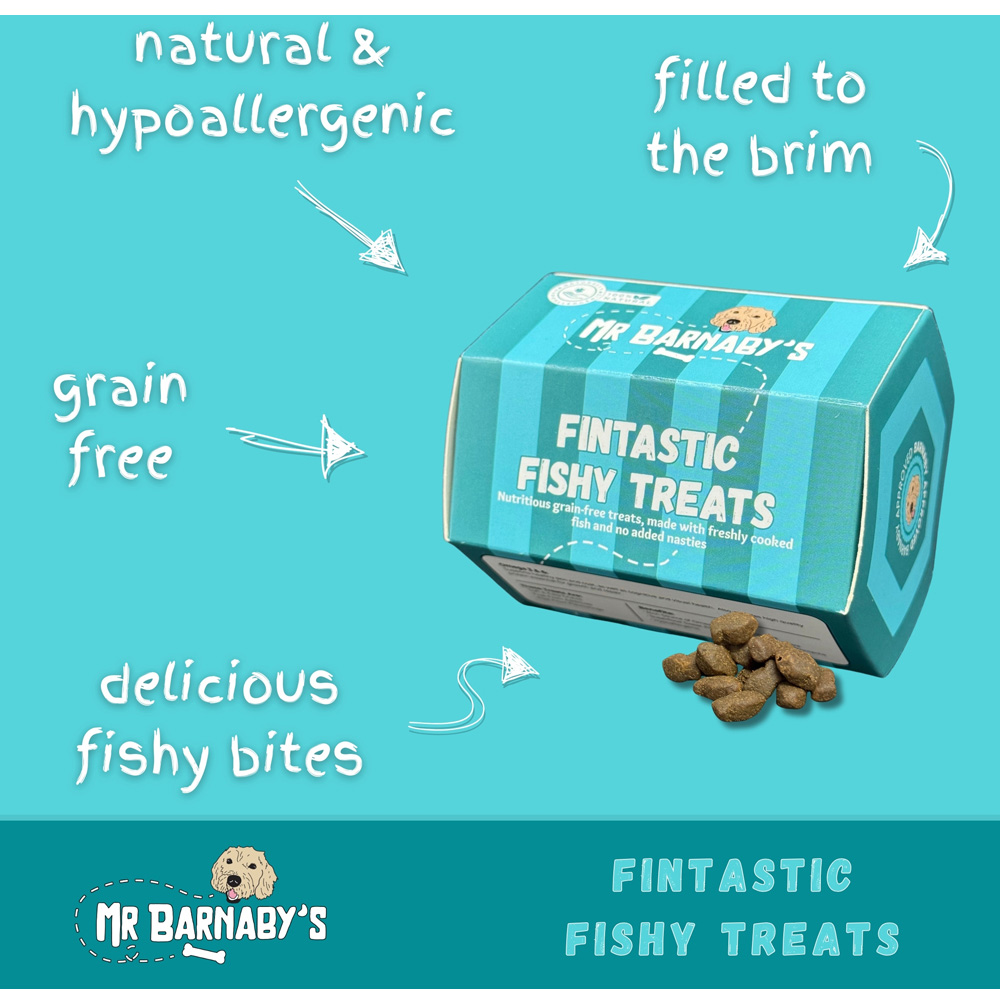 Mr Barnaby's Fintastic Fishy Grain-Free Hypoallergenic Dog Treats 100g 2 Pack Image 3
