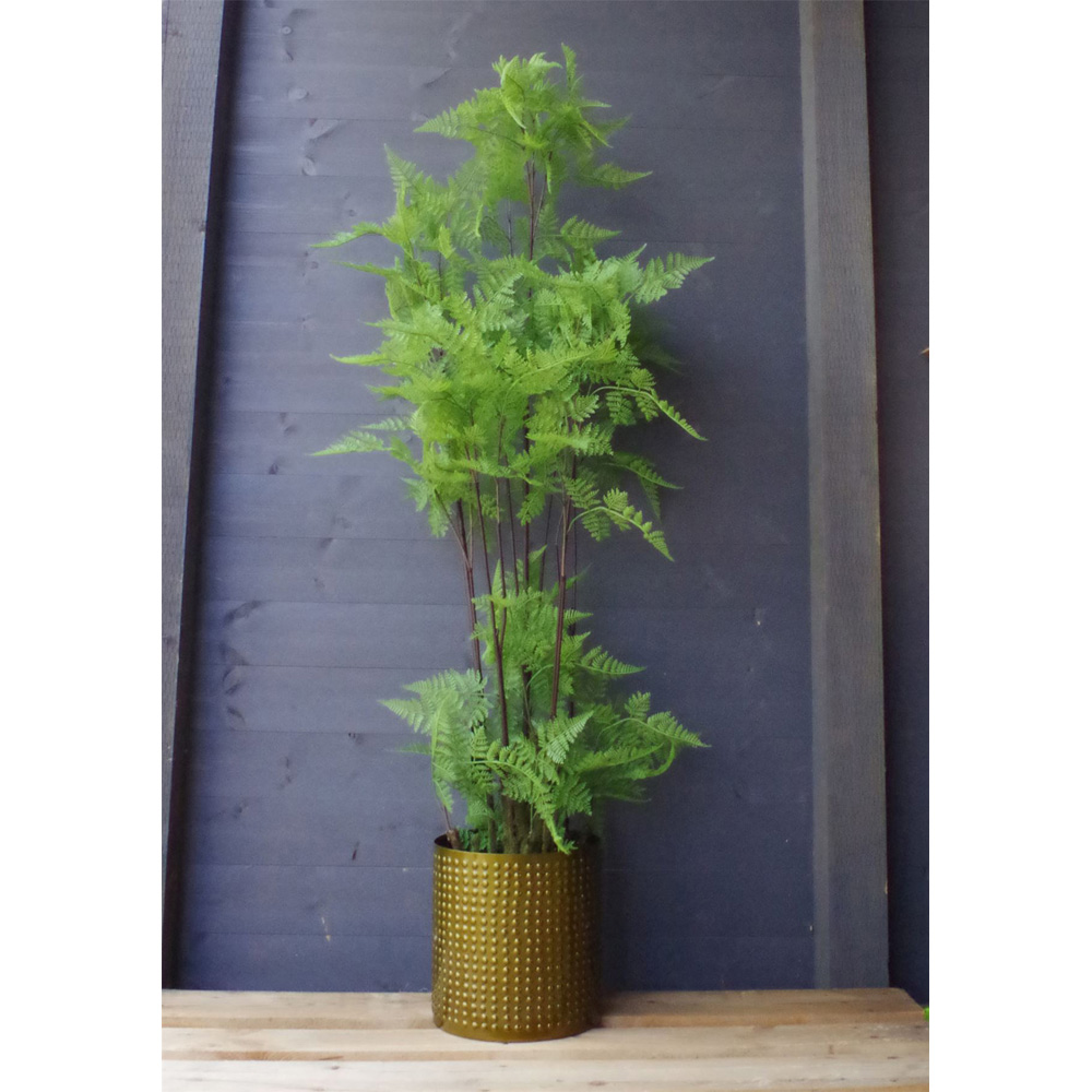 Botanik Moss Base Natural Fern Artificial Tree in Pot 5ft Image 2