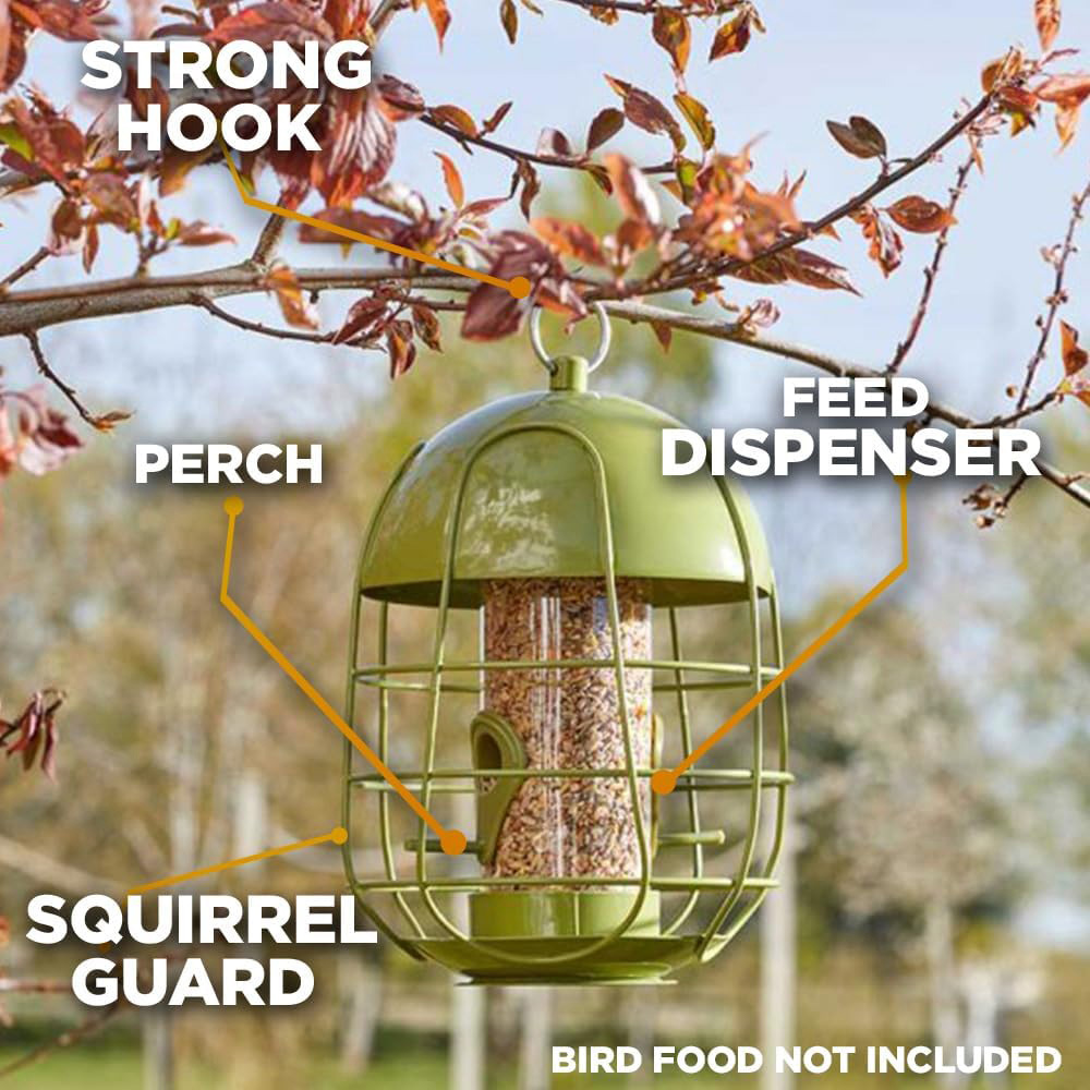 Marco Paul Acorn Bird Seed Feeder Image 3