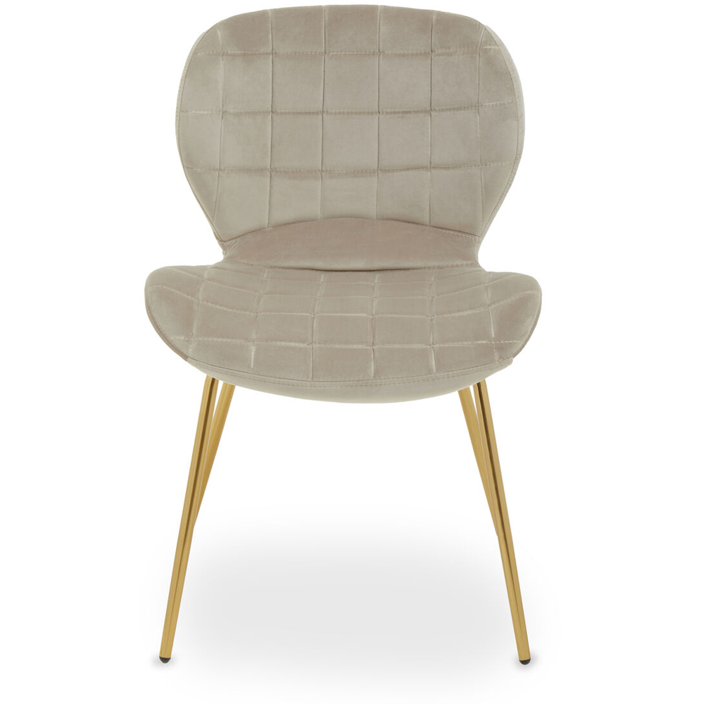 Premier Housewares Warton Mink Velvet Dining Chair Image 2
