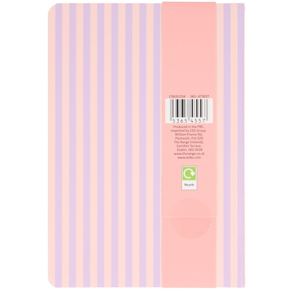 Pack of 3 Capybara Notebooks Image 5