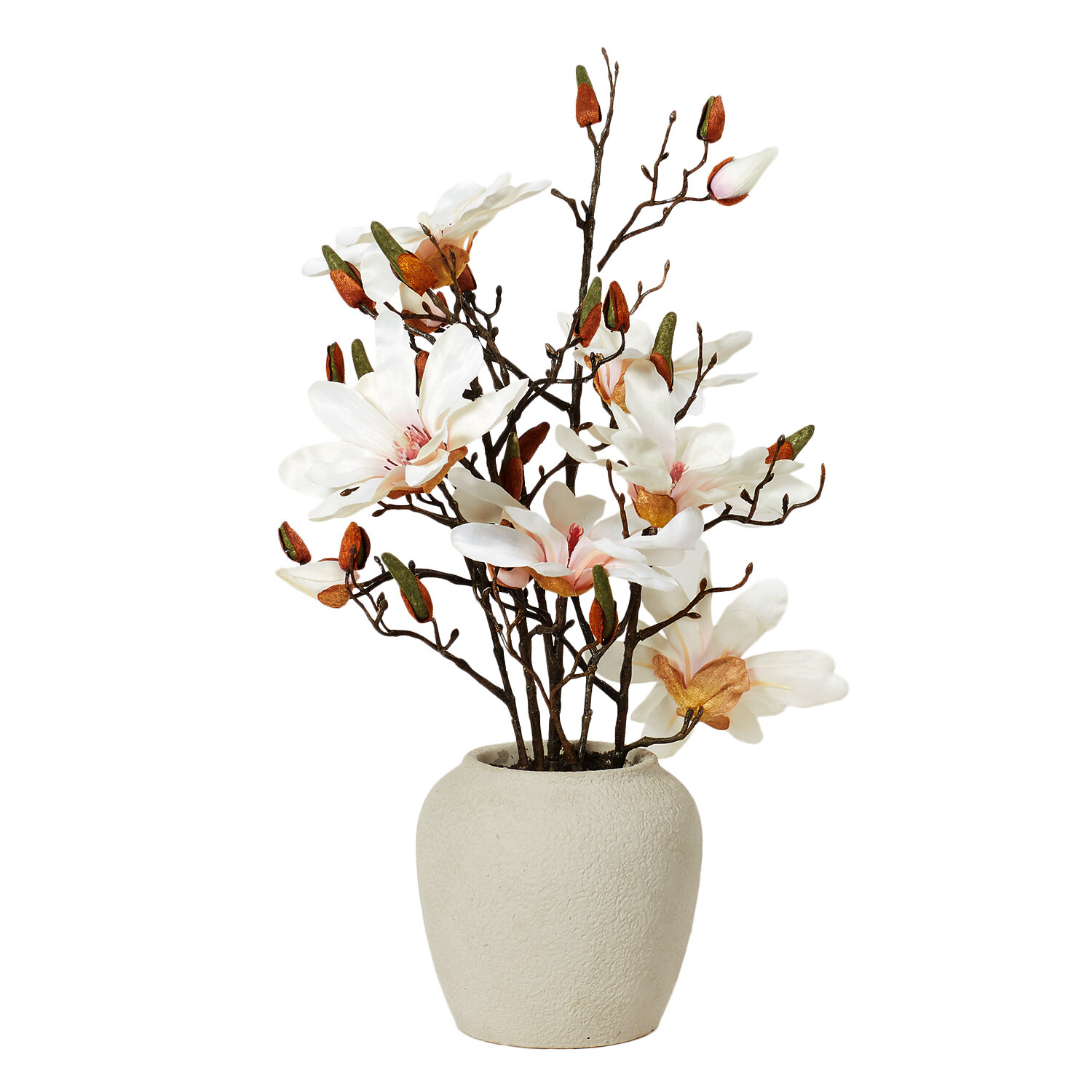 Magnolia Arrangement - Neutral Image 1