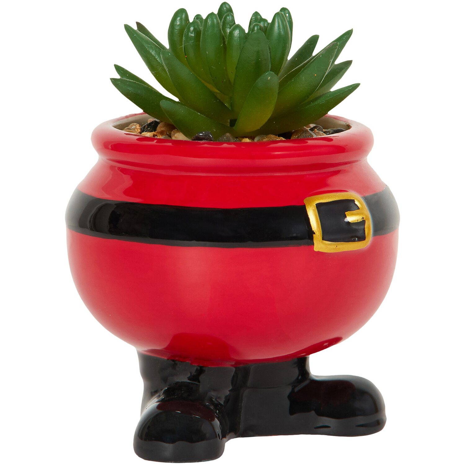 Novelty Christmas Succulent Image 2