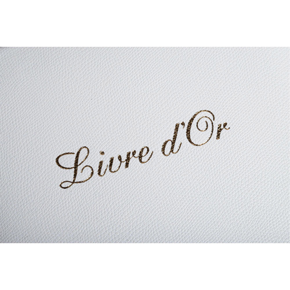 Exacompta White Leather Livre D or Guest book with French cover and Gold Edges 140 Pages Image 7