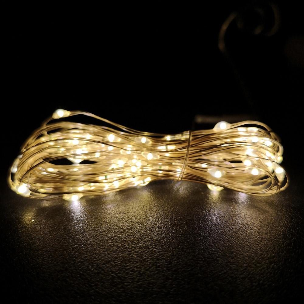Premier MicroBrights 50 Warm White LED Pin Wire Micro String Light 2.5m Image 1