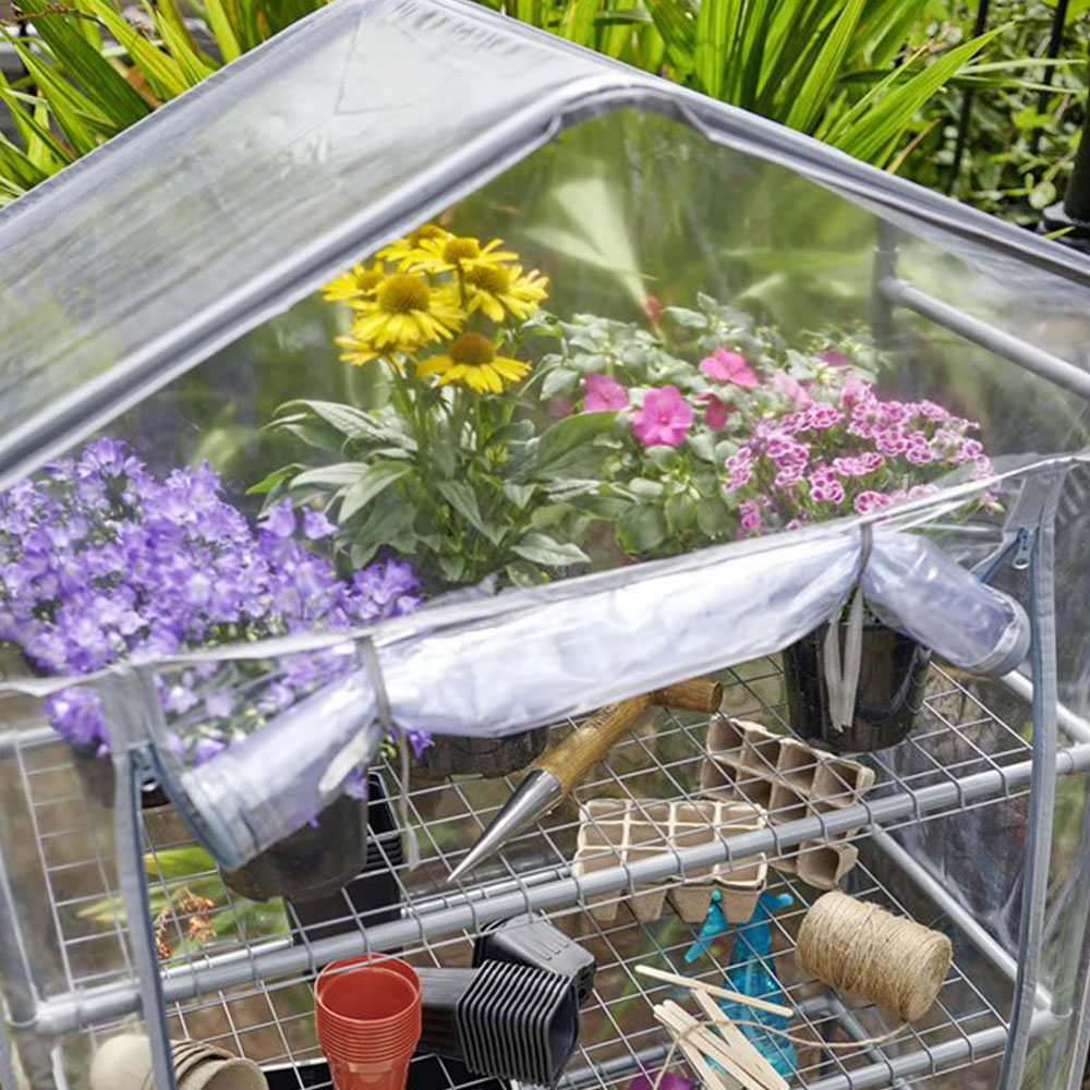 Wilko Wide Mini Greenhouse with 3 Metal Shelves and PVC Cover Image 9