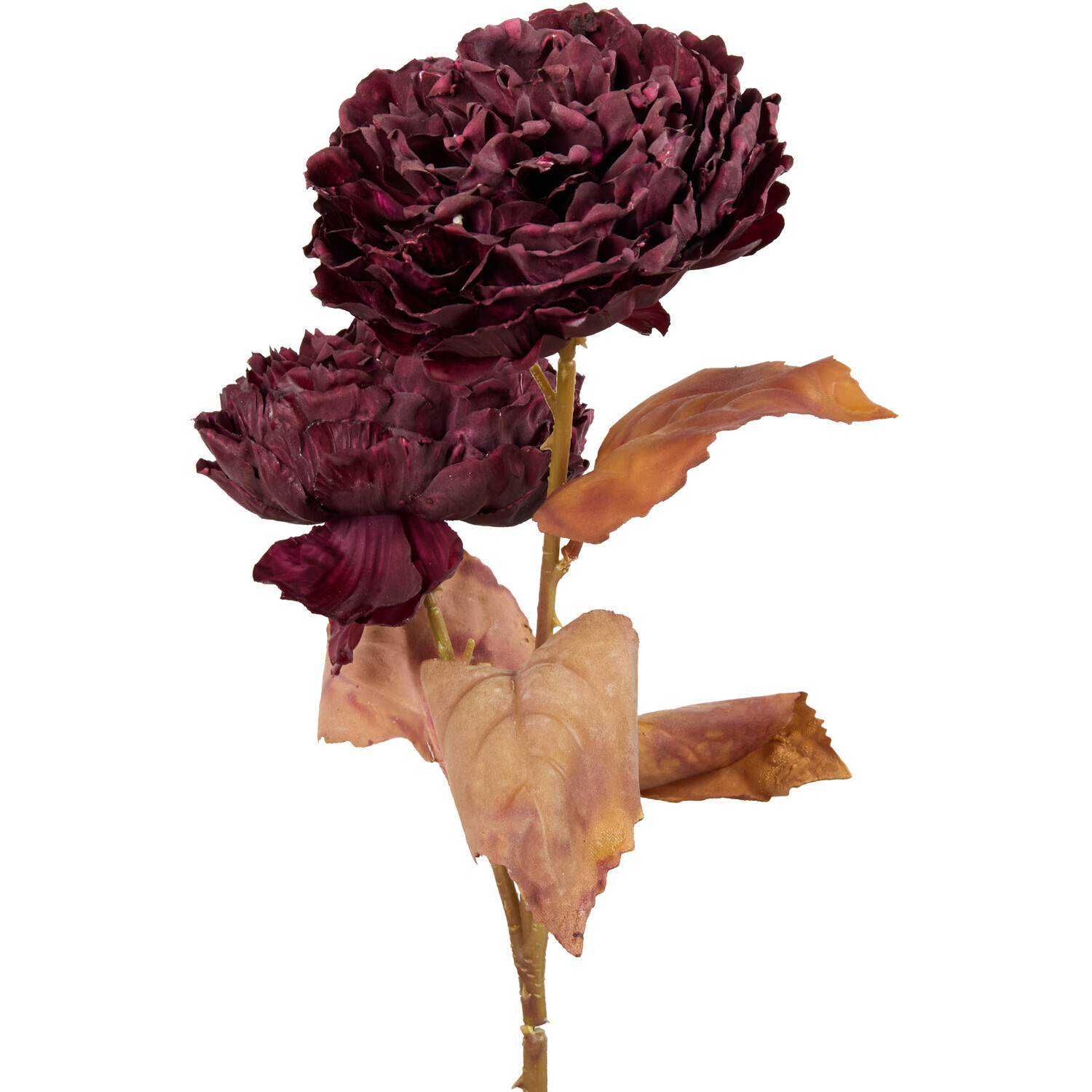Faux Dried Peony Flowers - Mulberry Image 3