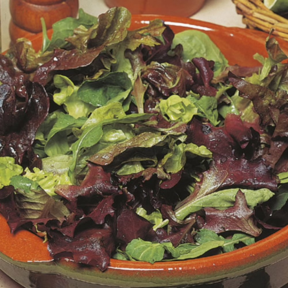 Johnsons Lettuce Mix Salad Leaves Seeds Image 2