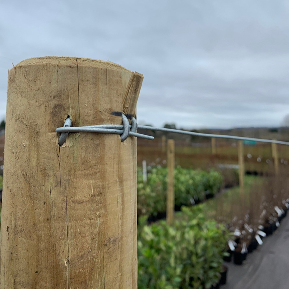 Inspirational Gifting Galvanised Mild Steel Line or Straining Wire Roll 100m x 4mm Image 2