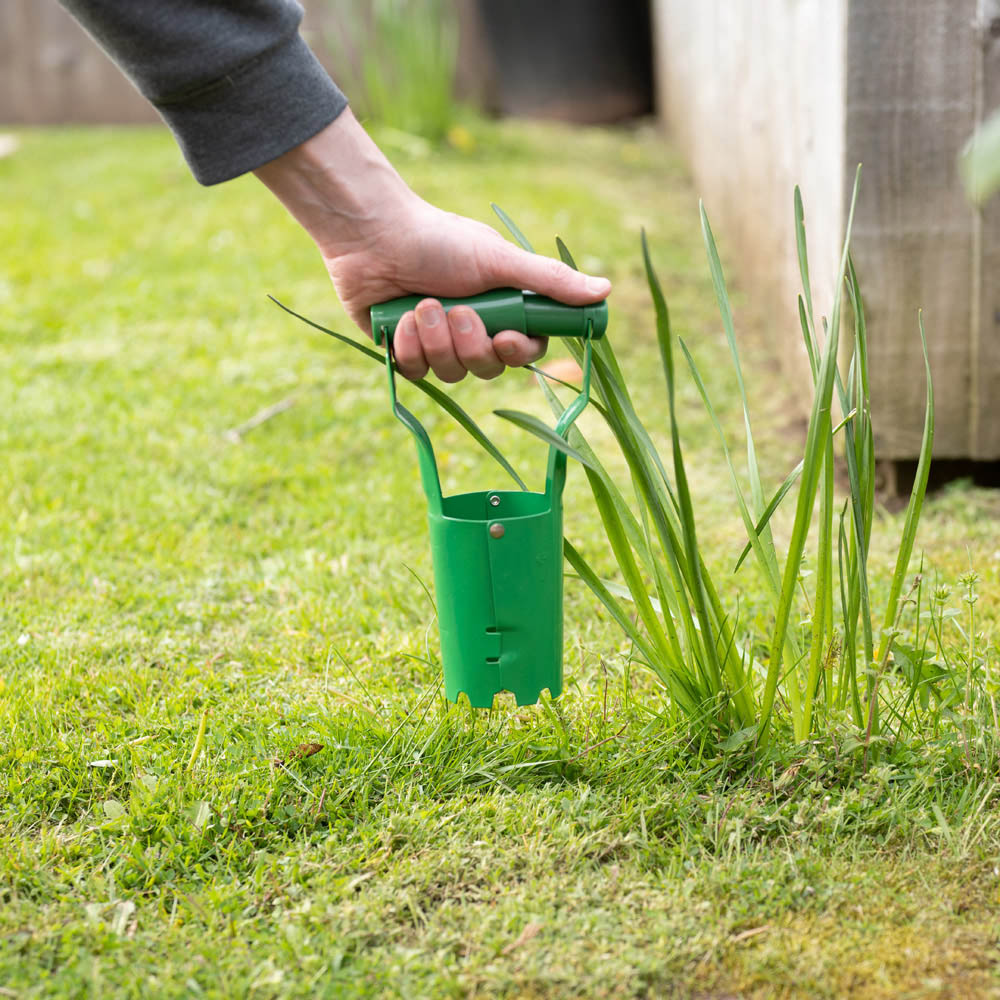 Hardys Stainless Steel Green Bulb Planter Image 8