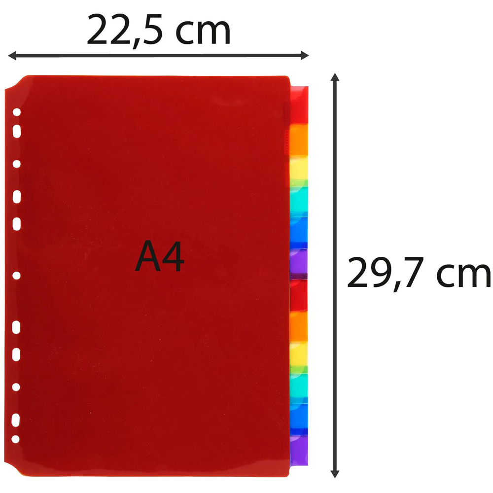 Exacompta A4 12 Section Assorted Colour Polypropylene Divider 10 Pack Image 8