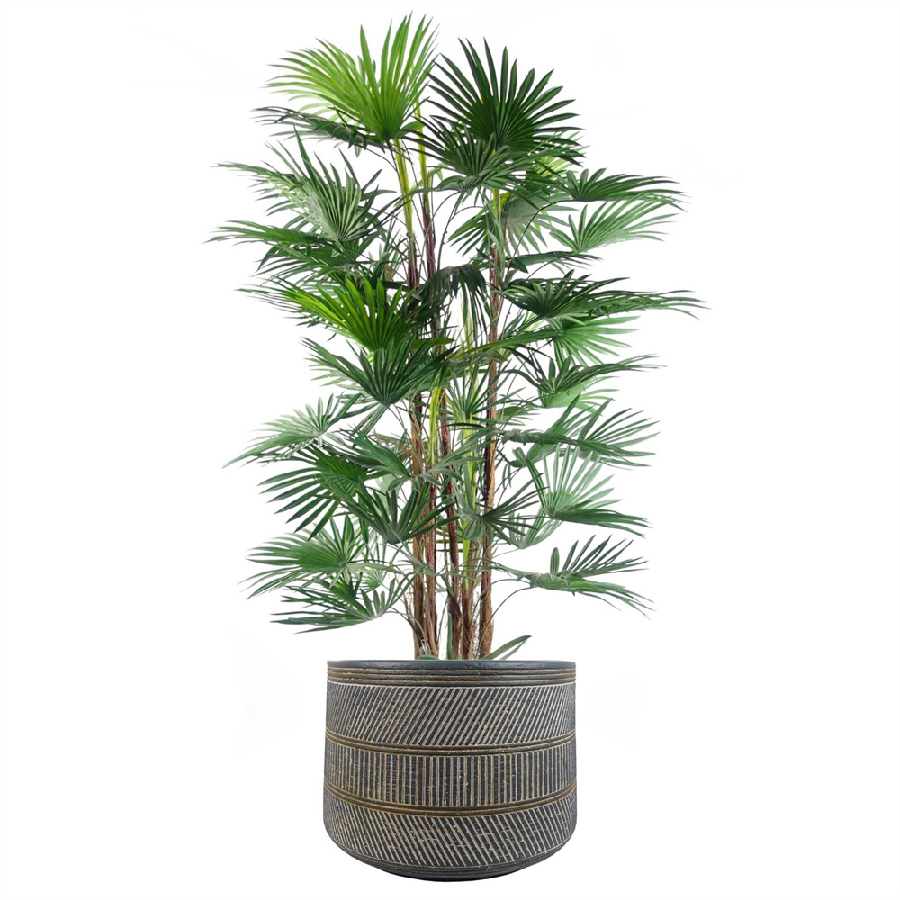 Leaf Maral Muted Blue and Grey Composite Planter with Etching 29 x 43cm Image 2