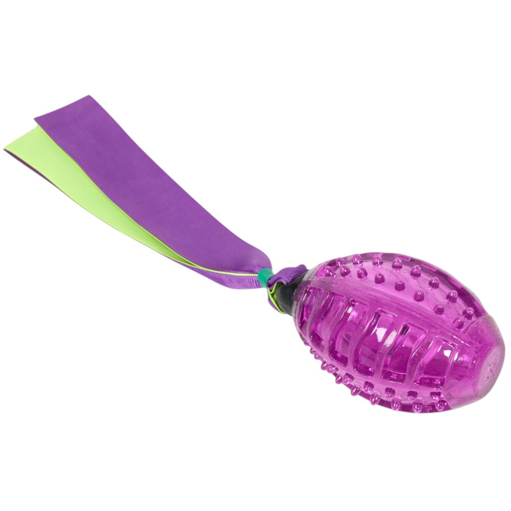 Squeaky Ball with Tail Dog Toy Image 4