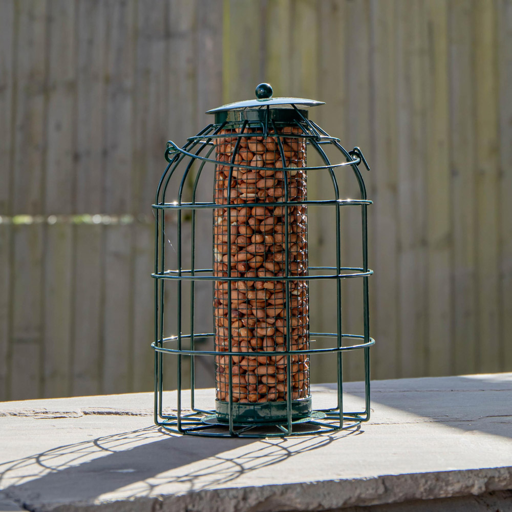 Samuel Alexander Squirrel Proof Metal Hanging Bird Nut Feeder 2 Pack with 1kg Nut Feed Image 8