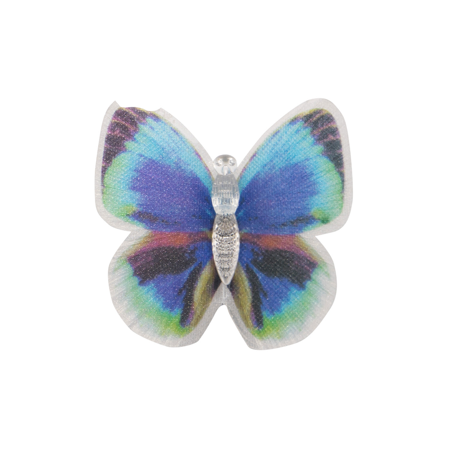 Colour Changing Butterfly Image 3