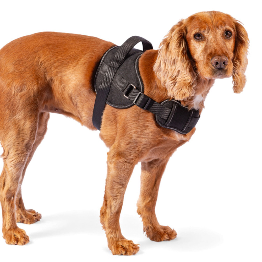 Explorer Harness Black Extra Large Image 5