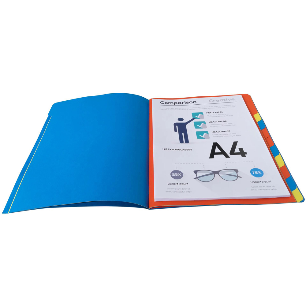 Exacompta Europa A4 12 Section Assorted Colour Multi-Part File 8 Pack Image 6