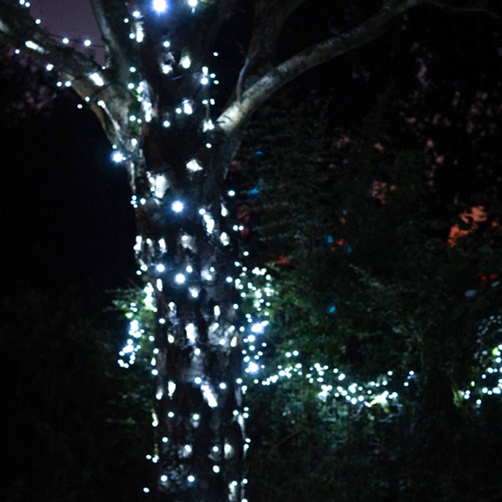 Eagle Connect 40 Cool White LED String Light 5m Image 5
