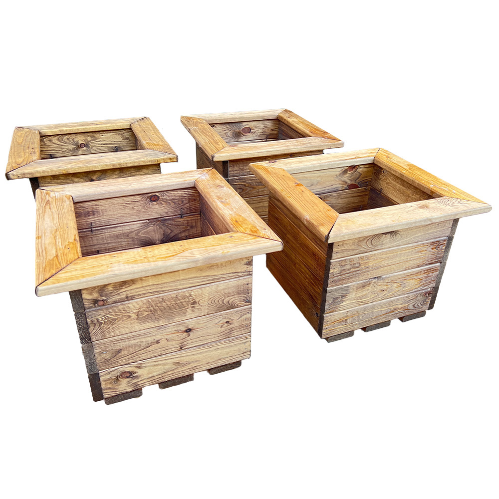 Charles Taylor Small Planter 4 Pack Image 1