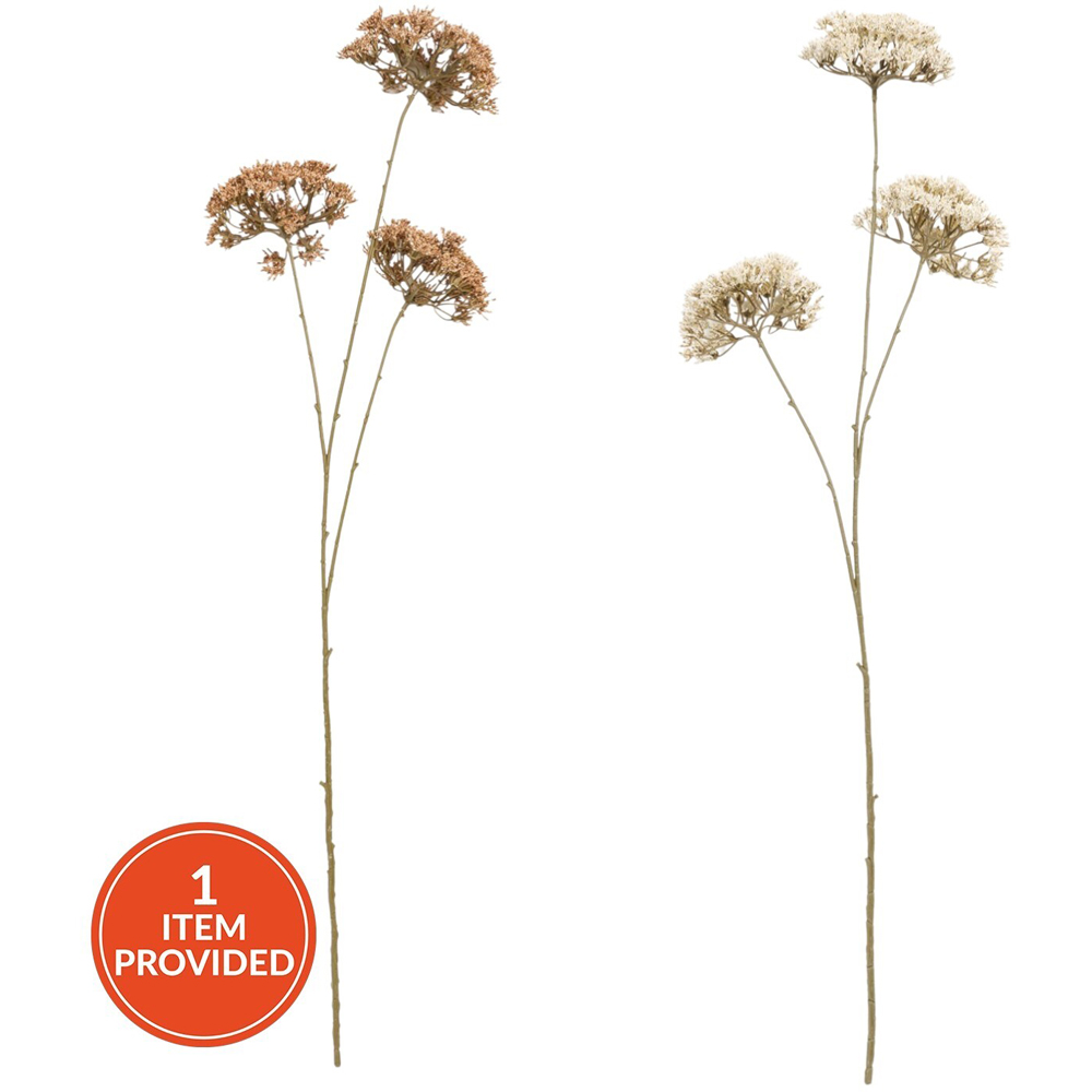 Queen Annes Lace Decorative Stem Image 1