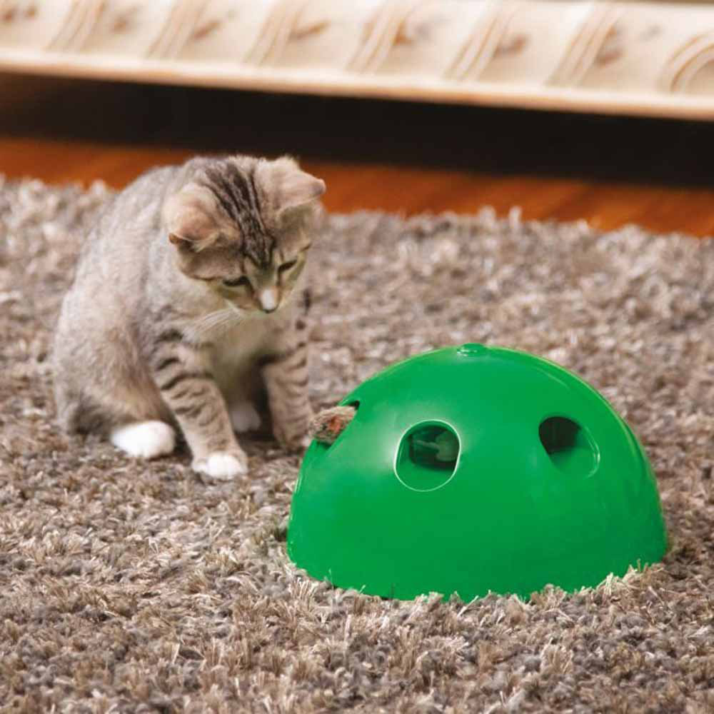 JML Pop N Play Cat Toy Image 3