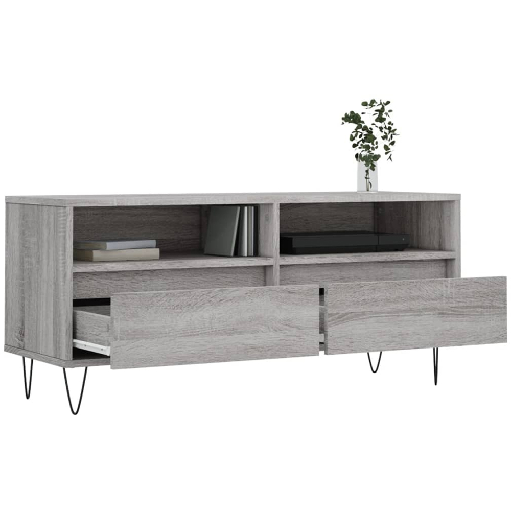 vidaXL 2 Drawer 2 Shelf Grey Sonoma TV Cabinet Image 4