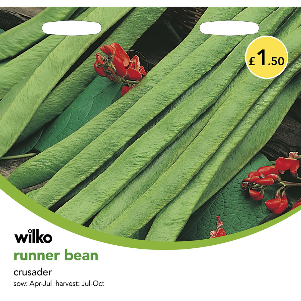 Wilko Runner Bean Crusader Seeds Image 2