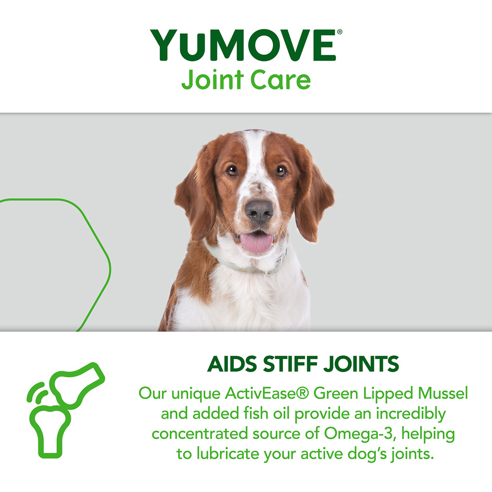 YuMOVE Joint Daily Bite Adult Dogs 60 pack Image 4