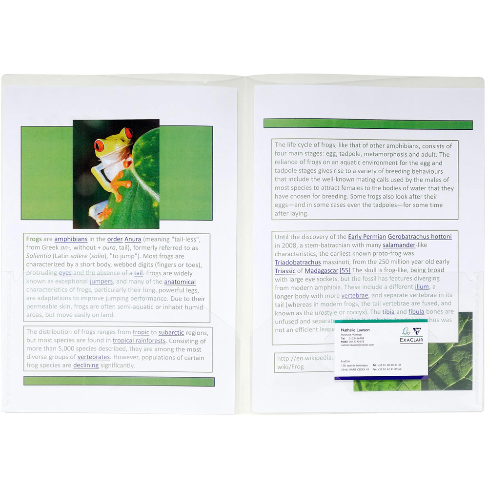 Exacompta Crystal Double Pocket Presentation File 2 x 10 Pack Image 3