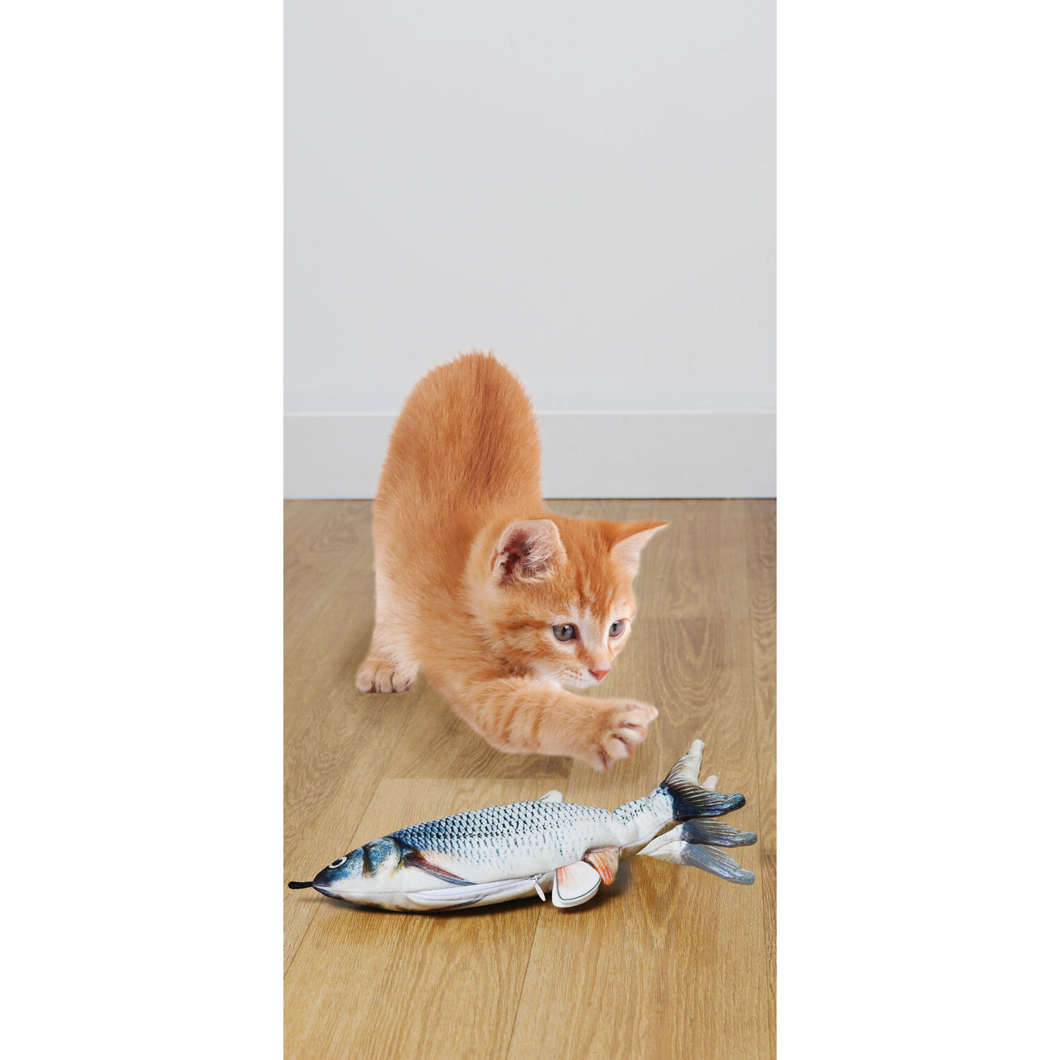 Jumpin' Fish Cat Toy Image 4