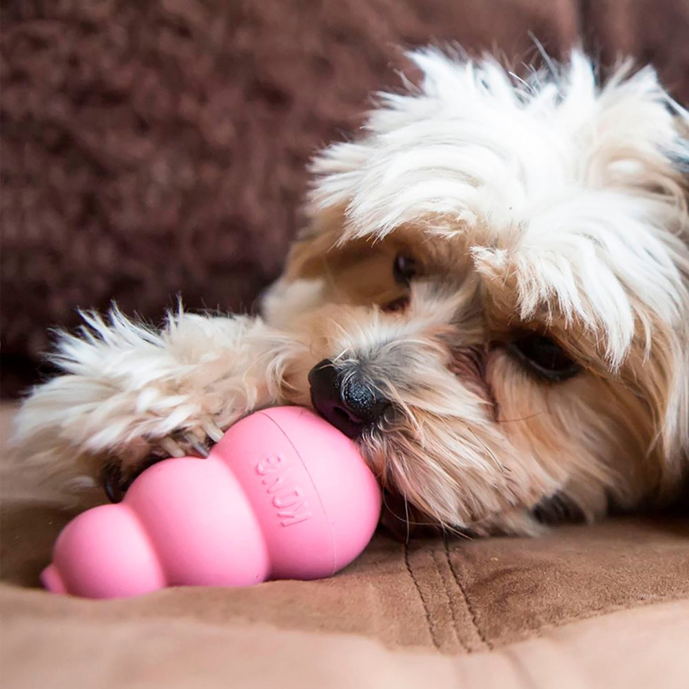 KONG Classic Puppy Toy - Medium Image 2