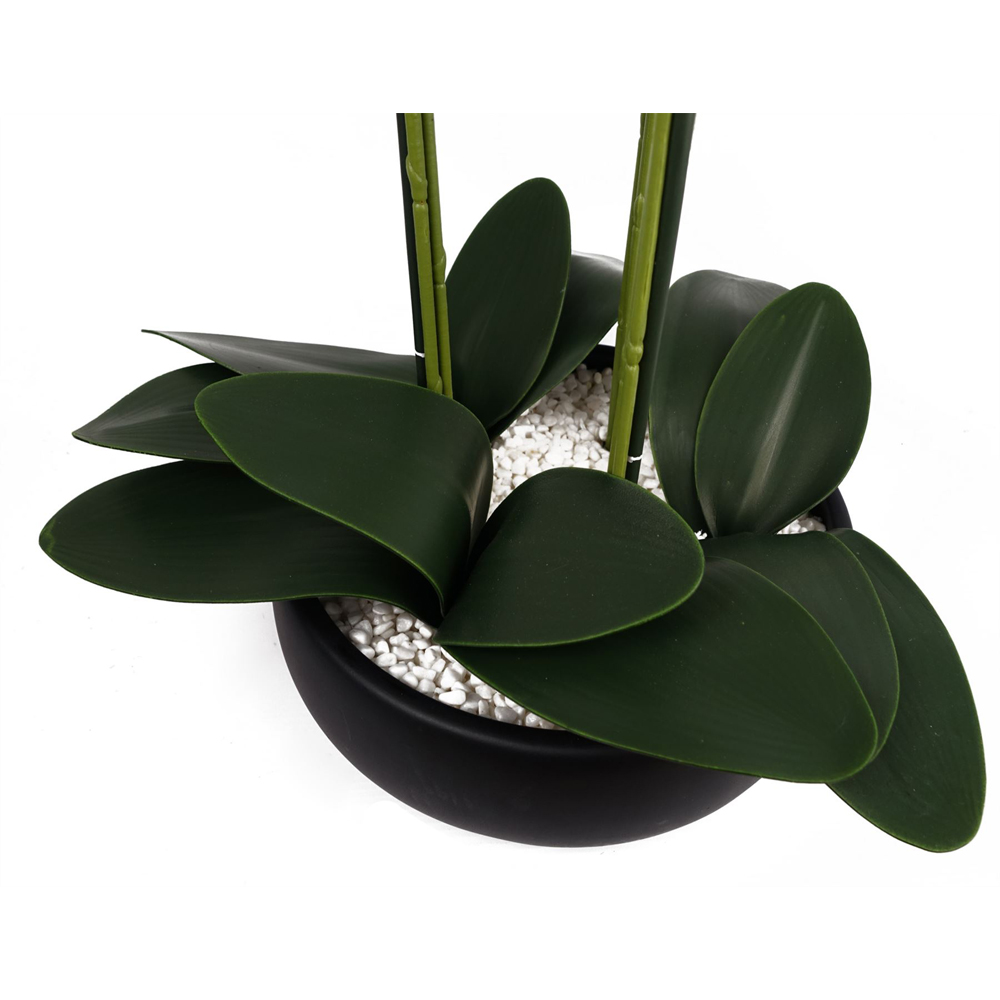 Botanik Yellow Orchid Artificial Tree in Black Ceramic Planter 60cm Image 6