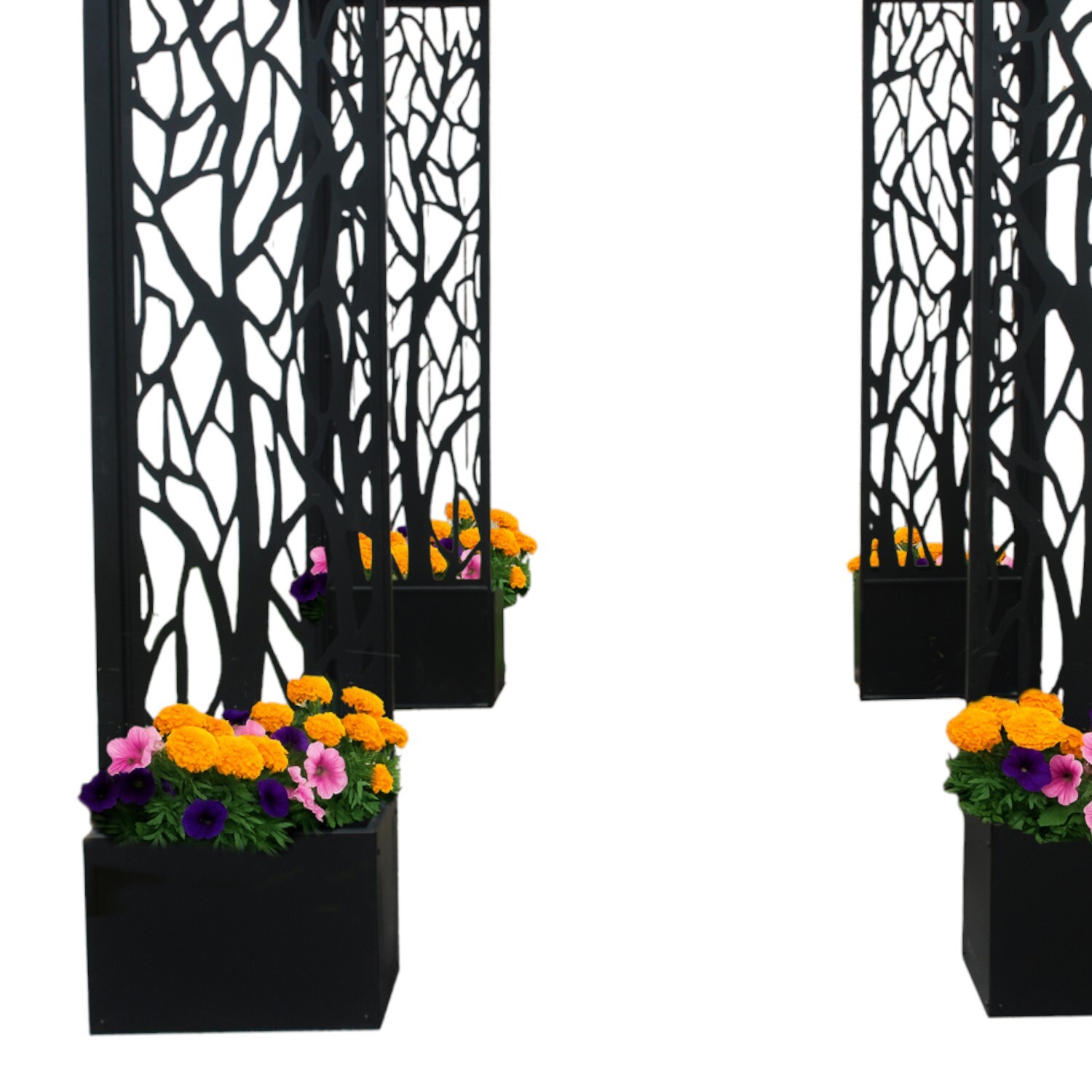 Ornate Pergola with Planters Kit Black Image 3