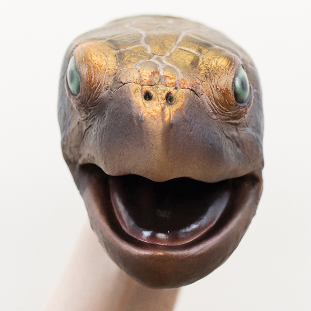 Wild Thingz Sea Turtle Hand Puppet Image 4