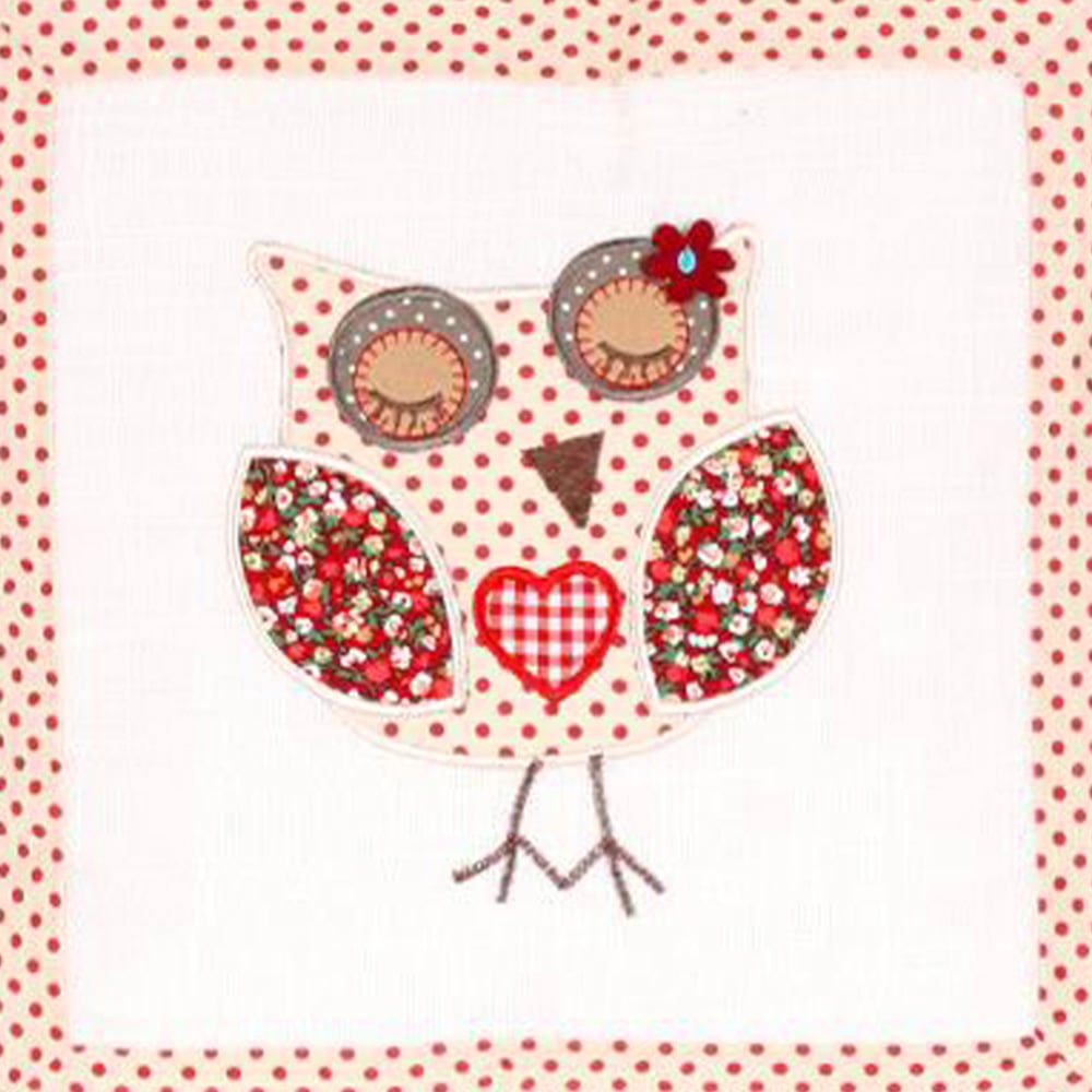 Intimates Closed Eye Owl Filled Cushion 43 x 43cm 2 Pack Image 2