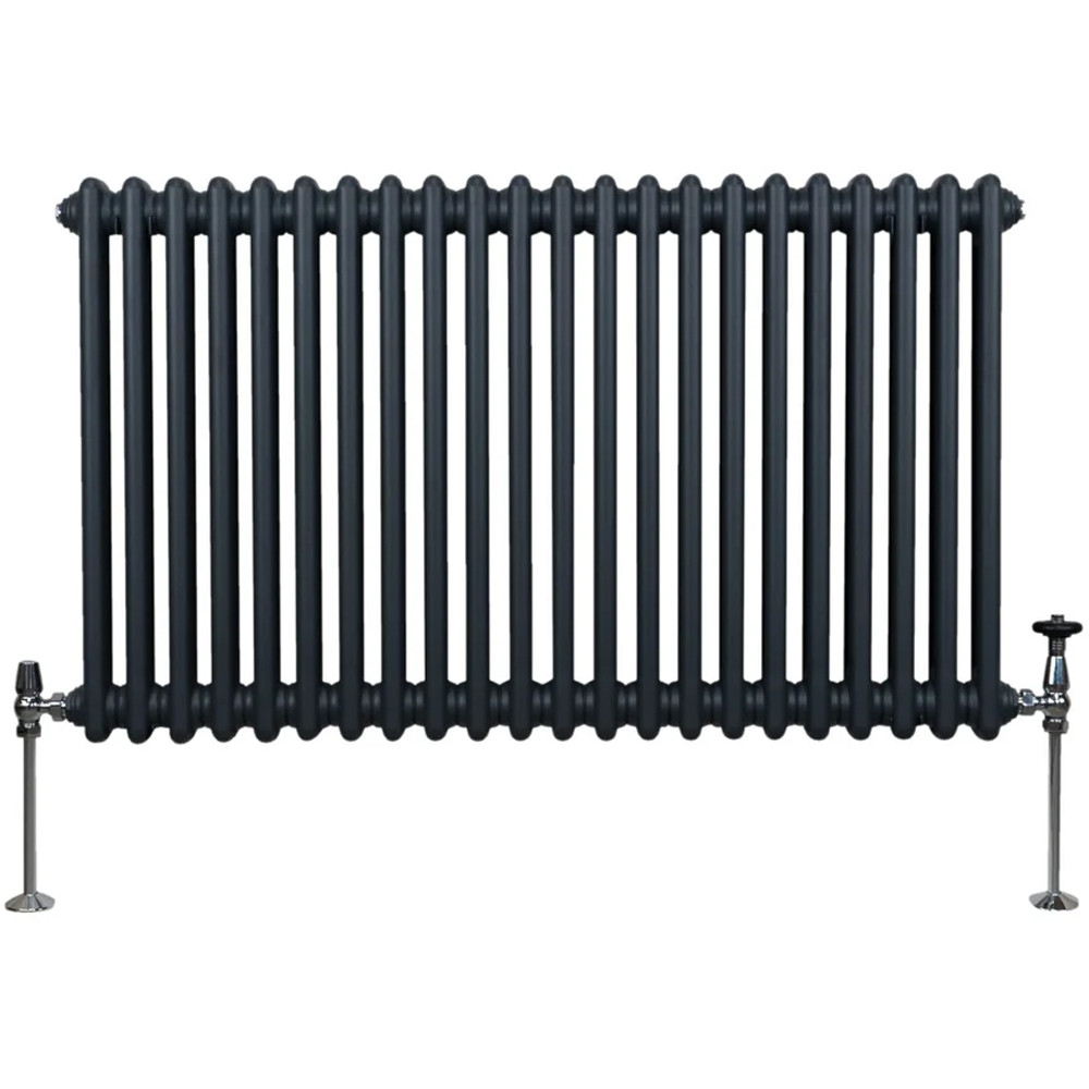 Monster Shop 4276 BTU Anthracite Grey Traditional 2 Column Radiator 600 x 1012mm Image 1