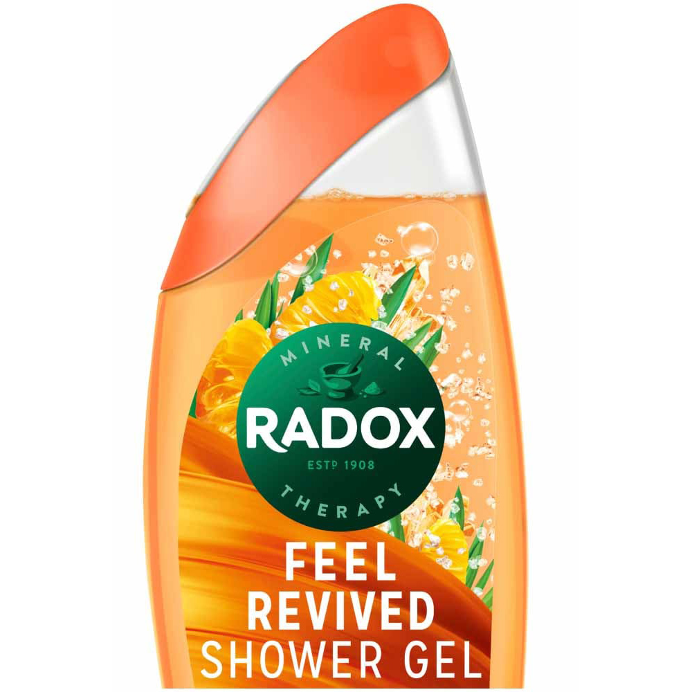 Radox Feel Revived Shower Gel 250ml Image 2