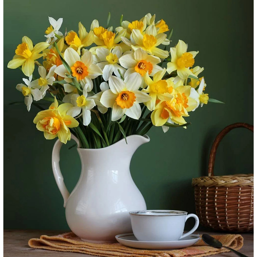 Thompson and Morgan Daffodil Spring Flowering Mixed Spring Planting Bulb 40 Pack Image 2