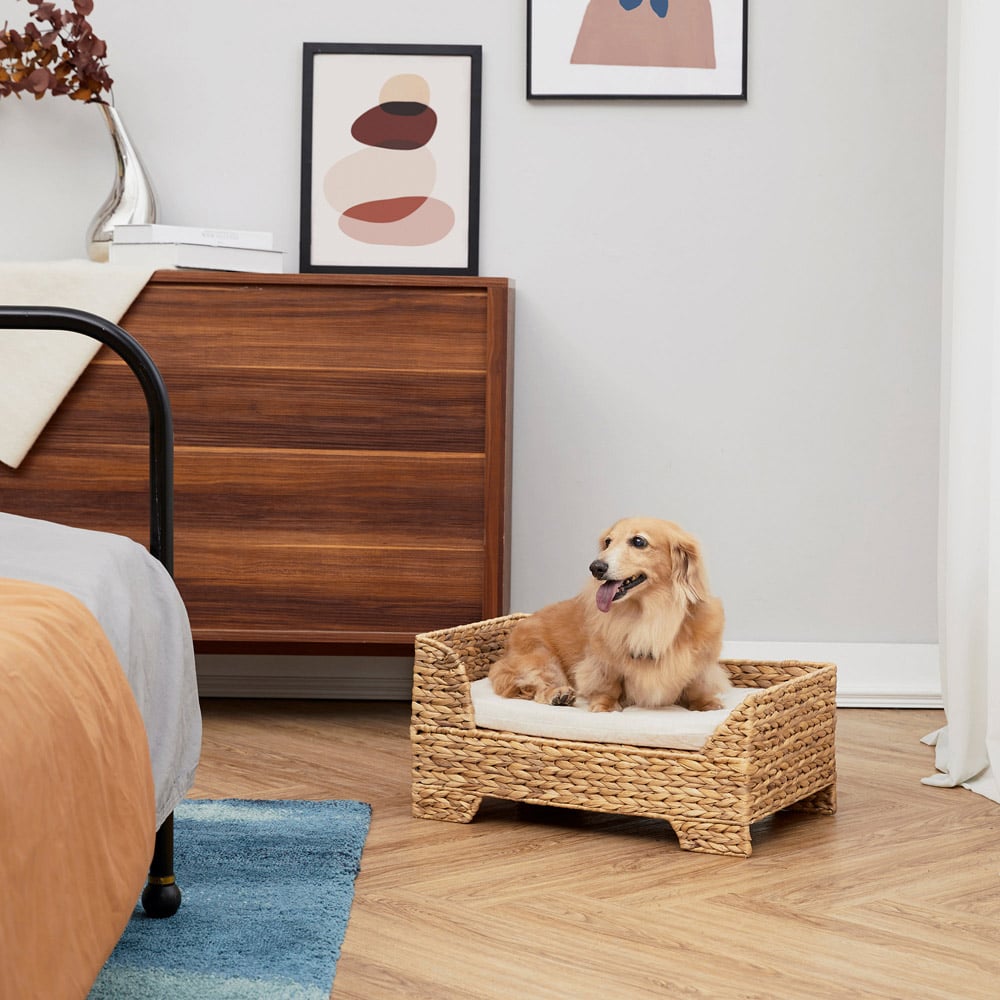 Teamson Pets Seagrass Weaving Cat Bed with Cushions Image 7