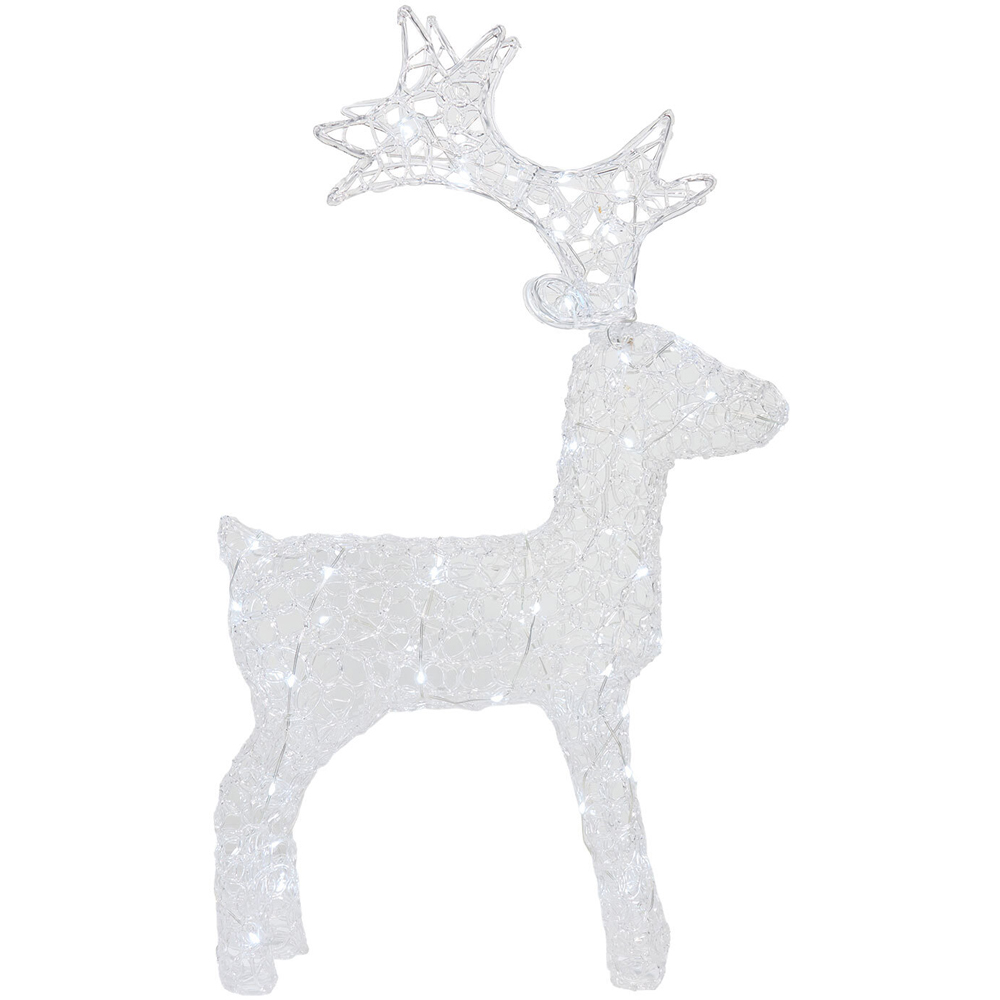 60 LED Acrylic Stag Image 5