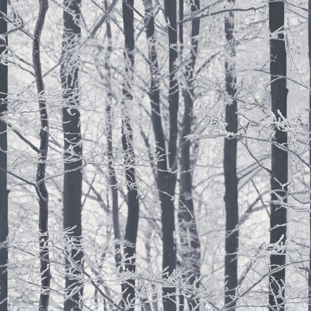 Arthouse Frosted Wood Silver Wallpaper Image 1
