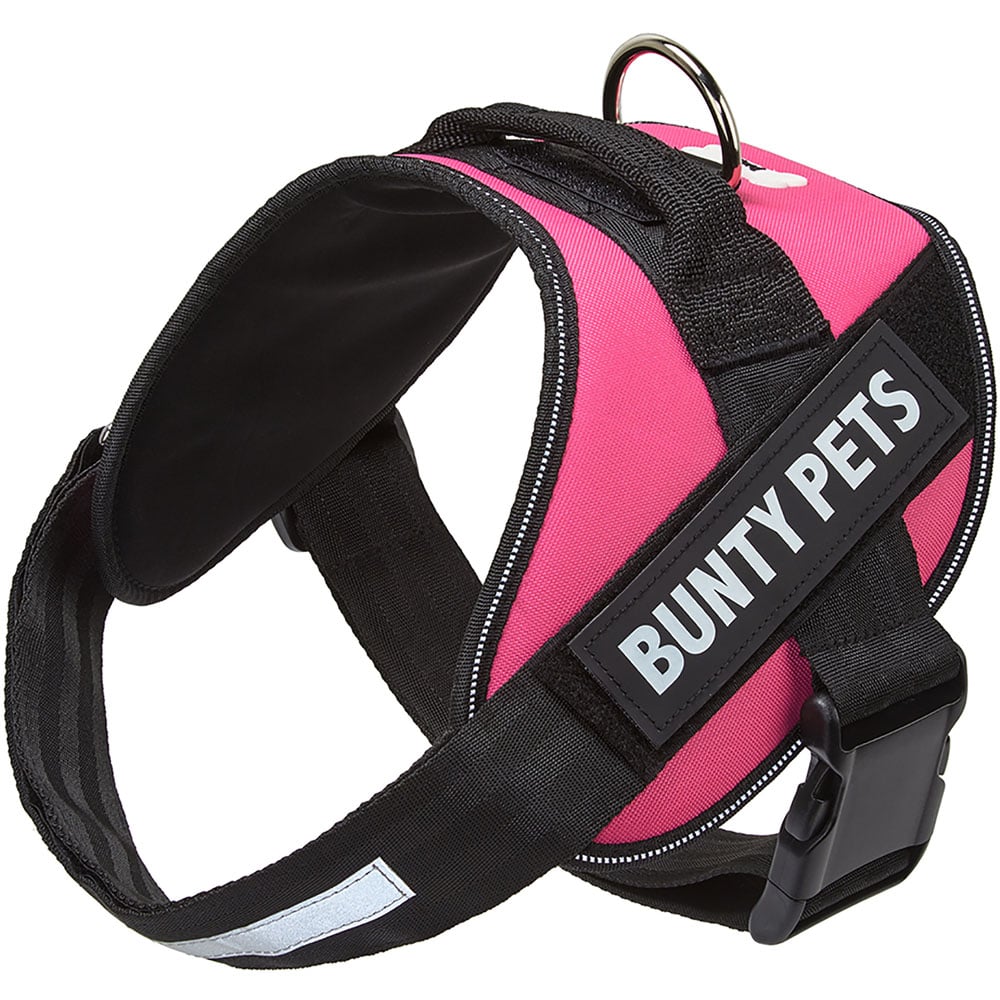 Bunty pet on sale harness