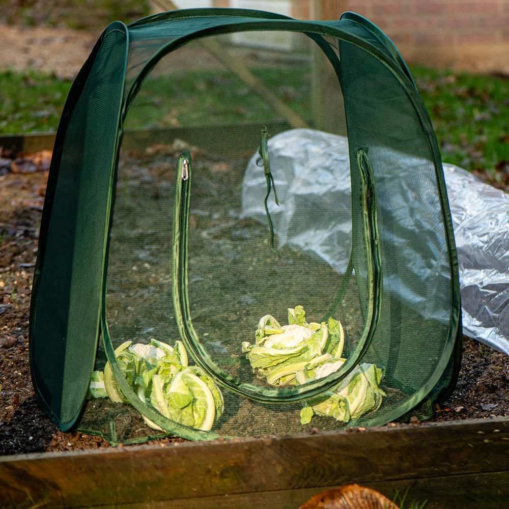 Garden Gear Compact Pop-Up Cloche Image 2