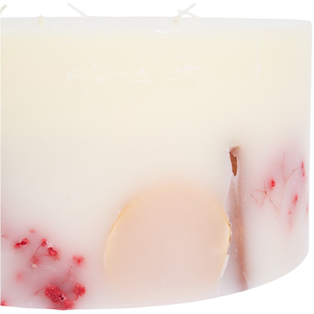 XL Winter Spice Botanical Candle Image 3