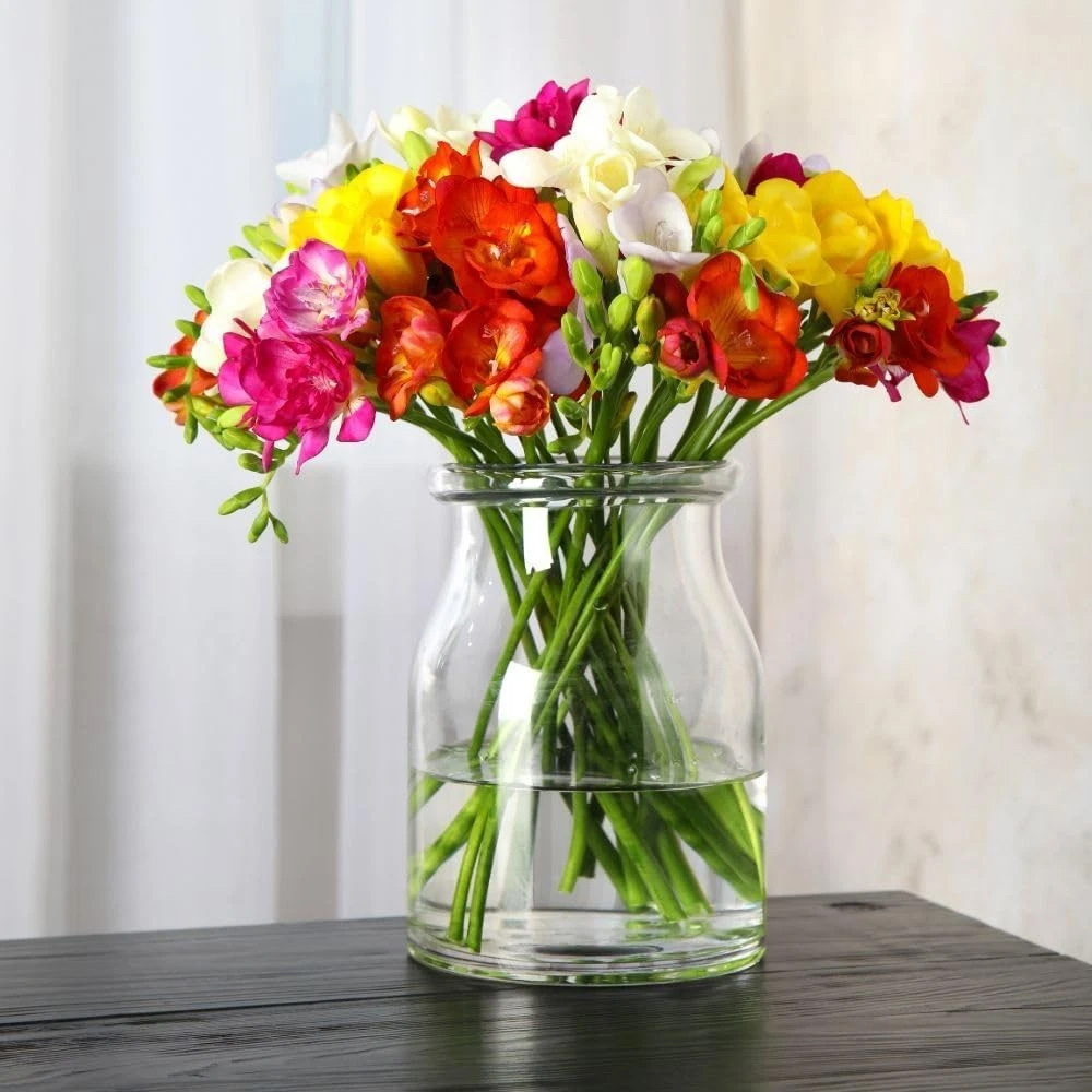 Thompson and Morgan Freesia Double Mix Spring Planting Bulb 160 Pack Image 2