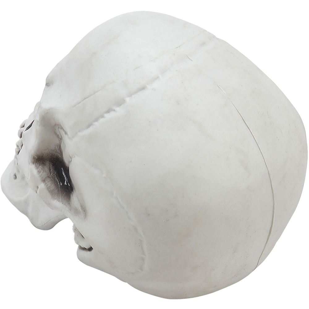 Living and Home Halloween Realistic Tabletop Skull 22cm Image 4
