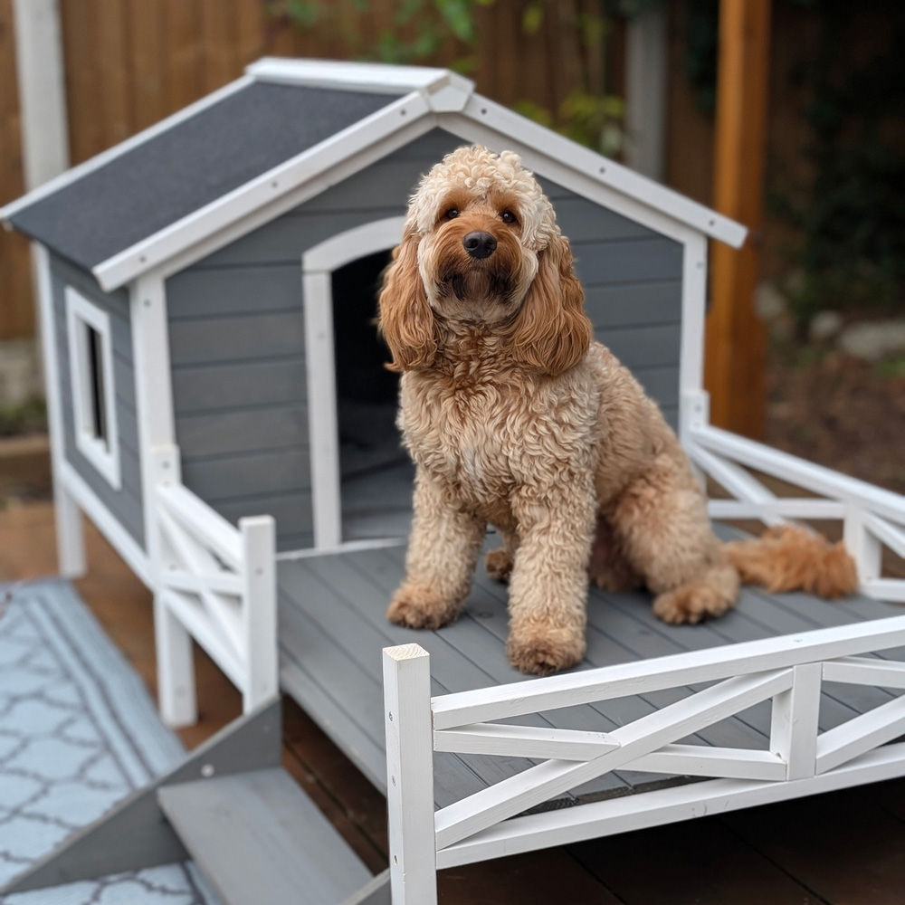 PawHut Wooden Grey Dog House with Porch Image 5